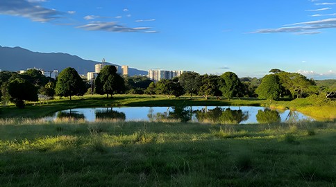 proyectamos y edificamos